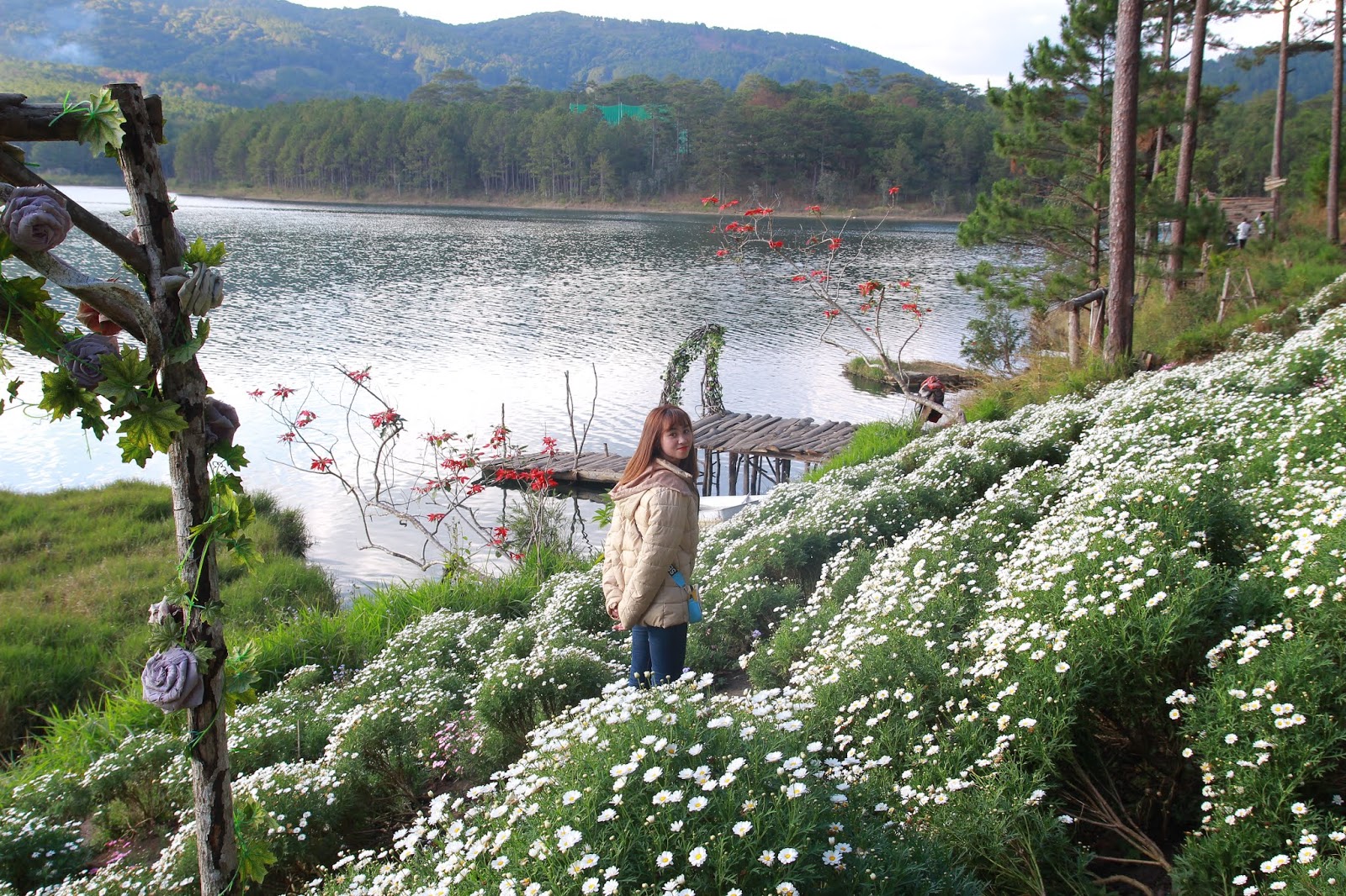 Khu du lịch nằm ngay bên Hồ Tuyền Lâm với vườn cúc họa mi tuyệt đẹp 