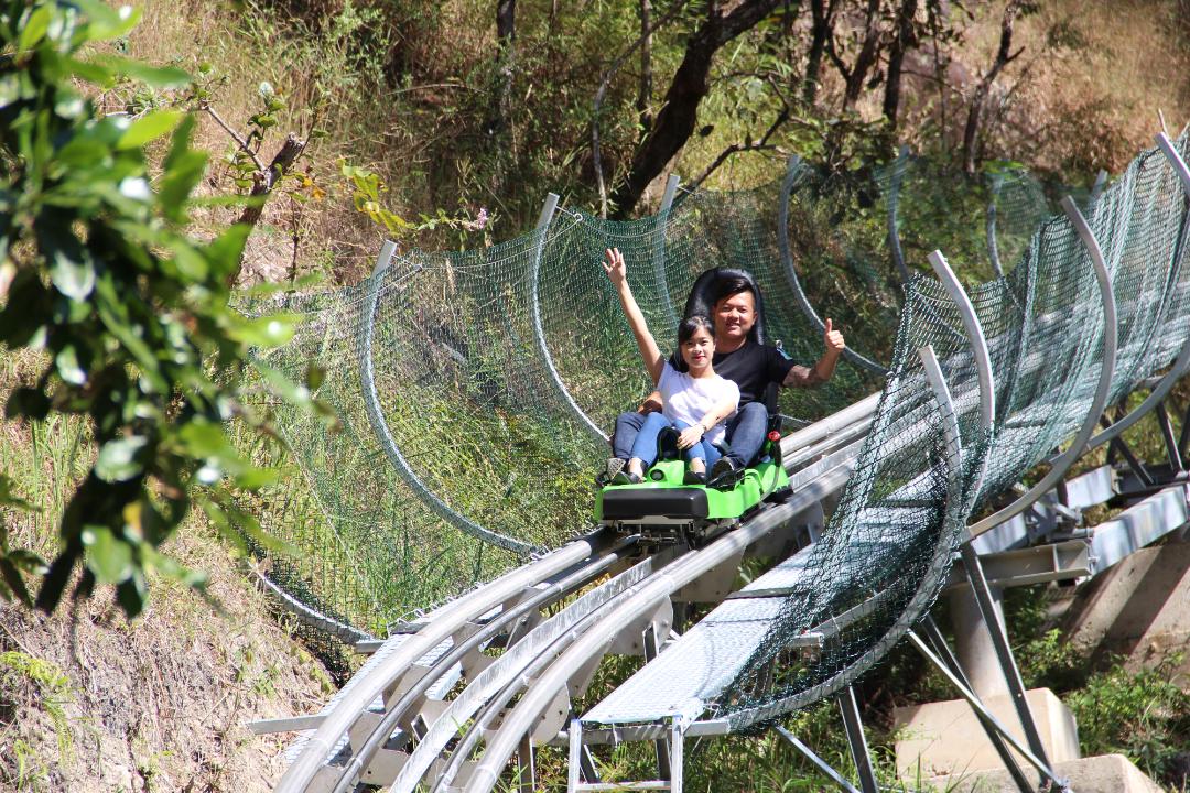 Hoạt động máng trượt Alpine Coaster 